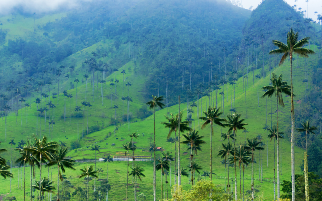 Descubre Colombia: Razones para Enamorarte de su Magia Natural
